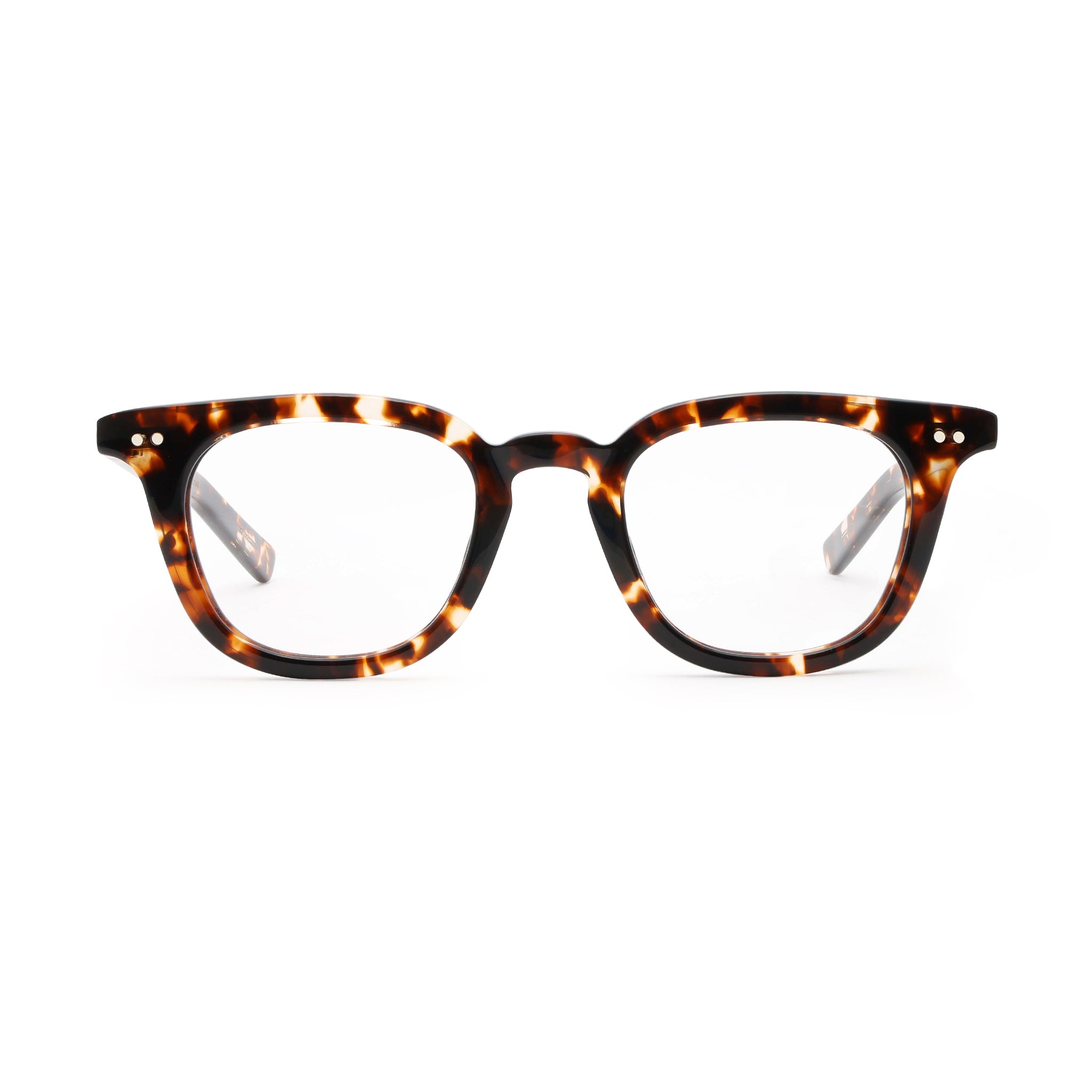 値下げ NATIVE SONS Ginsberg honey tortoise GINSBERG - Rx – Native Sons USA